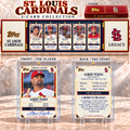 SLVC Premium Card Collector’s Box Set NHVH